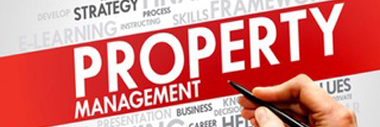 PROFESSIONALLY MANAGED PROPERTIES
